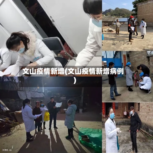 文山疫情新增(文山疫情新增病例)