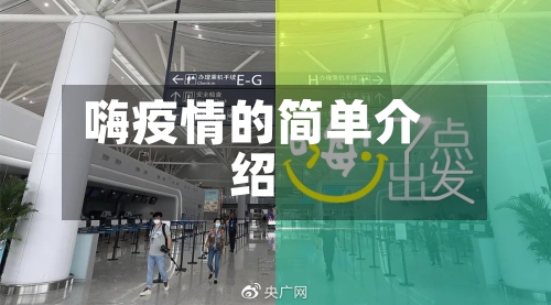嗨疫情的简单介绍