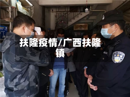 扶隆疫情/广西扶隆镇-第3张图片