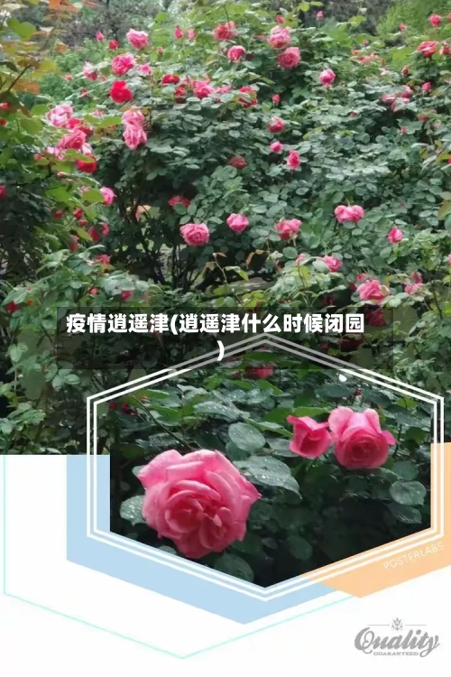 疫情逍遥津(逍遥津什么时候闭园)-第2张图片