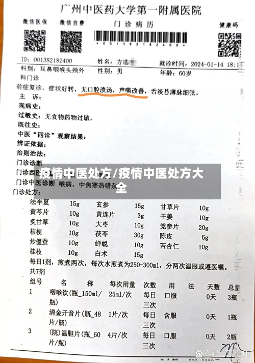 疫情中医处方/疫情中医处方大全-第2张图片