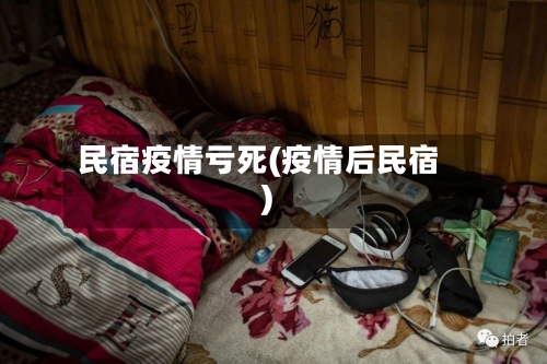 民宿疫情亏死(疫情后民宿)