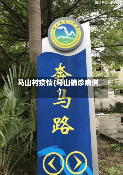 马山村疫情(马山确诊病例)