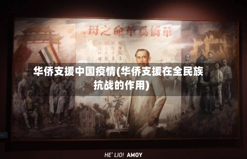 华侨支援中国疫情(华侨支援在全民族抗战的作用)-第2张图片